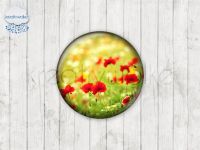 Motiv-Cabochons 49308-1 Einzelset  